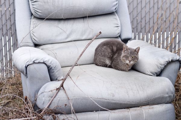 Recliner Disposal in Mason